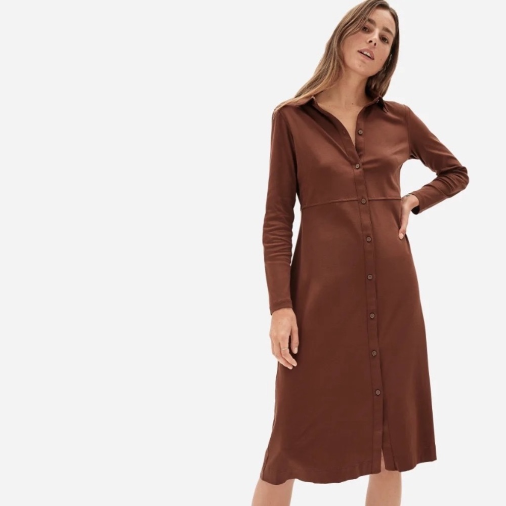 Everlane Luxe Cotton Shirtdress in Rosewood XS